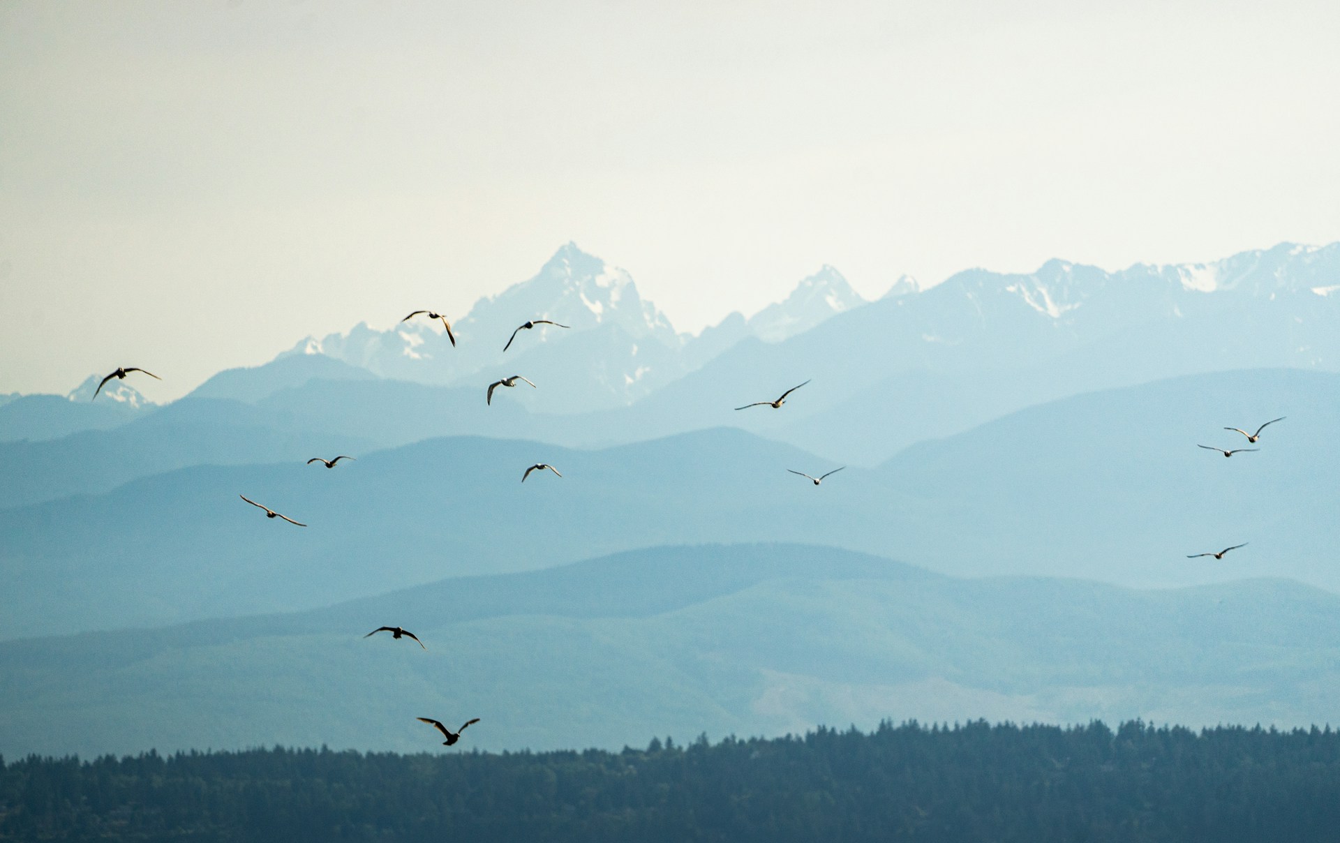Sustainable Living: Eco-Friendly Practices for a Greener Planet